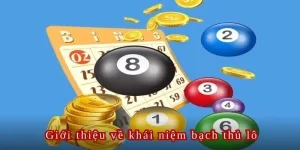 Tìm hiểu về bạch thủ lô là gì?