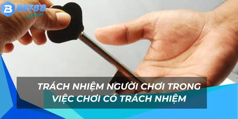 Các yếu tố chính khi tham gia