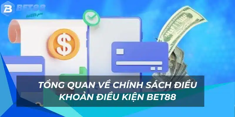 Các quy định cần nắm khi tham gia