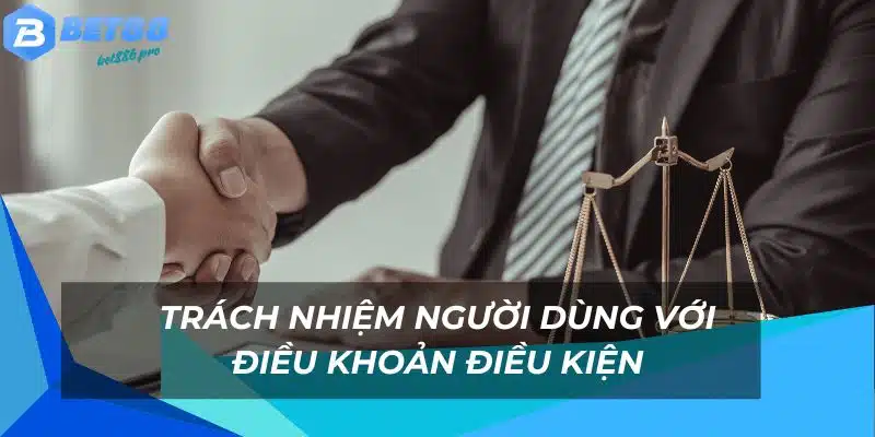 Tổng quan về điều khoản điều kiện