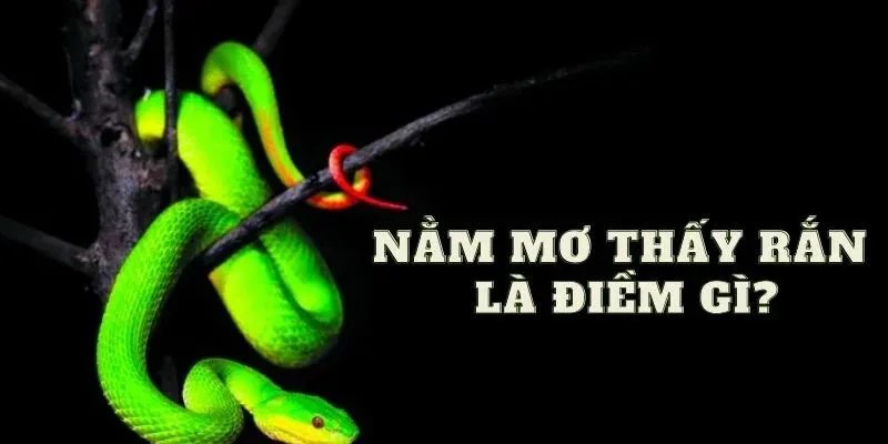 Giấc mơ này lên đánh con số may mắn nào