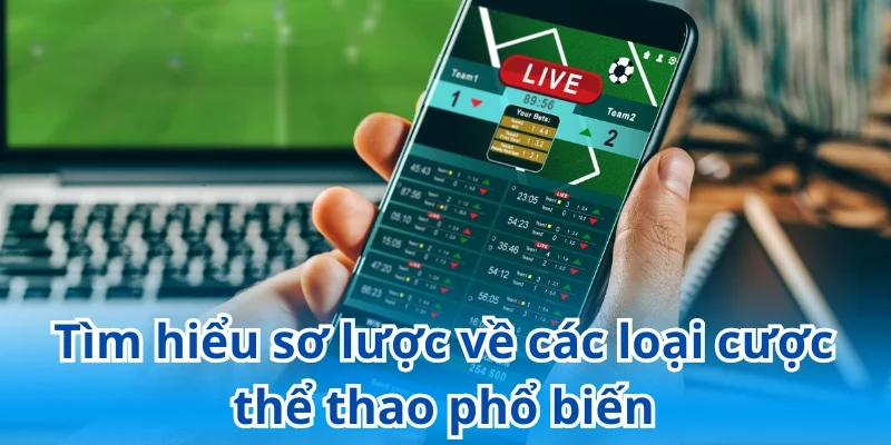 Những loại cá cược thể thao phổ biến nhất 2025